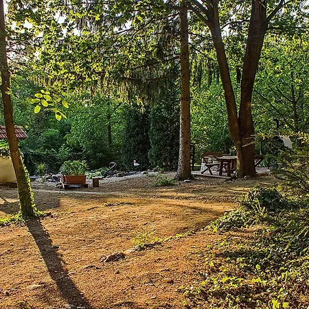Cityside Alpesi faház *