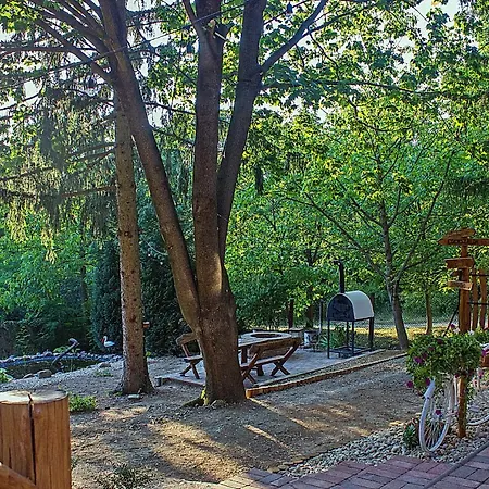 Alpesi faház Cityside *